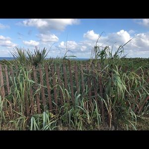 Meet your Posher, Felice